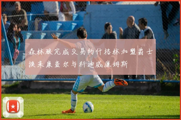 森林狼完成交易约什格林加盟爵士换来康查尔与科迪威廉姆斯
